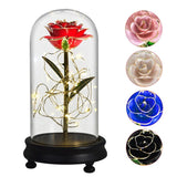 Eblouissante Rose Eternelle Doré  "Ainy Rose" avec Coffret