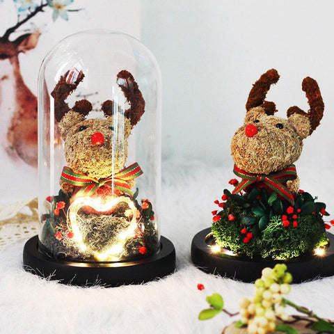 Sapin & Renne de Noel Sous Cloche