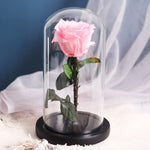 Rose Eternelle Premium (Style au Choix)