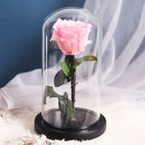 Rose Eternelle Premium (Style au Choix)