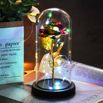 Rose Eternelle Crystal Sous Cloche (Choix de Couleurs)