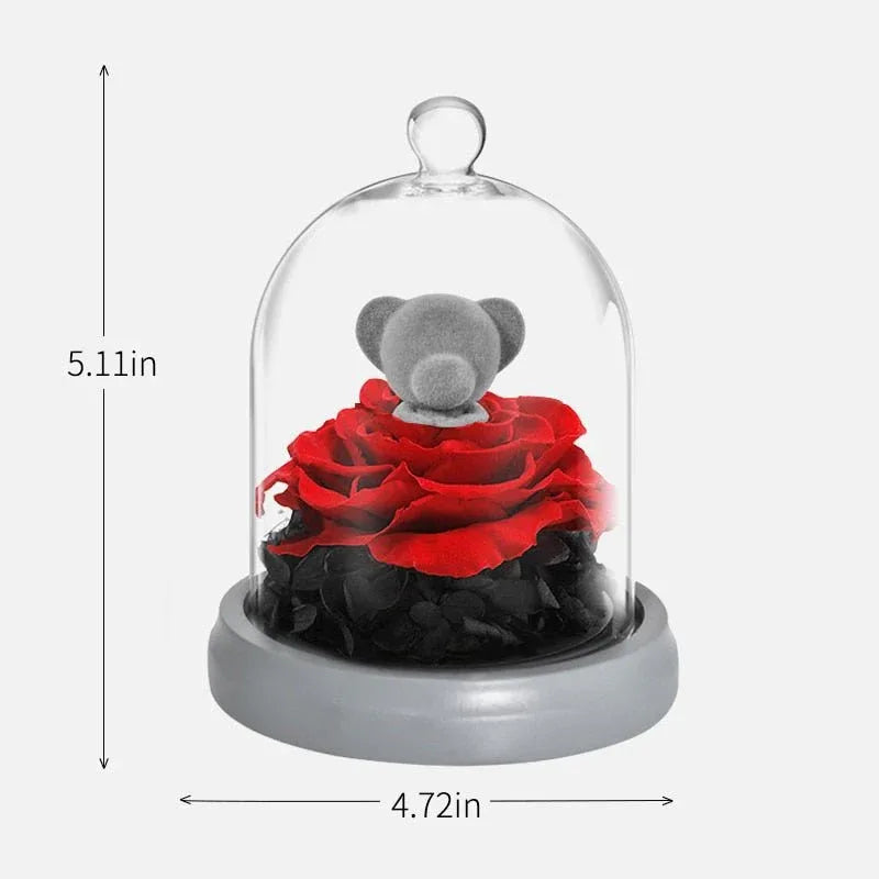 Ours et Lapin avec Rose rouge sous cloche - Rose Eternelle La Boutique