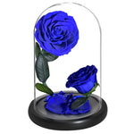 Prestigieux Duo de Rose Eternelle ( Choix de couleur )