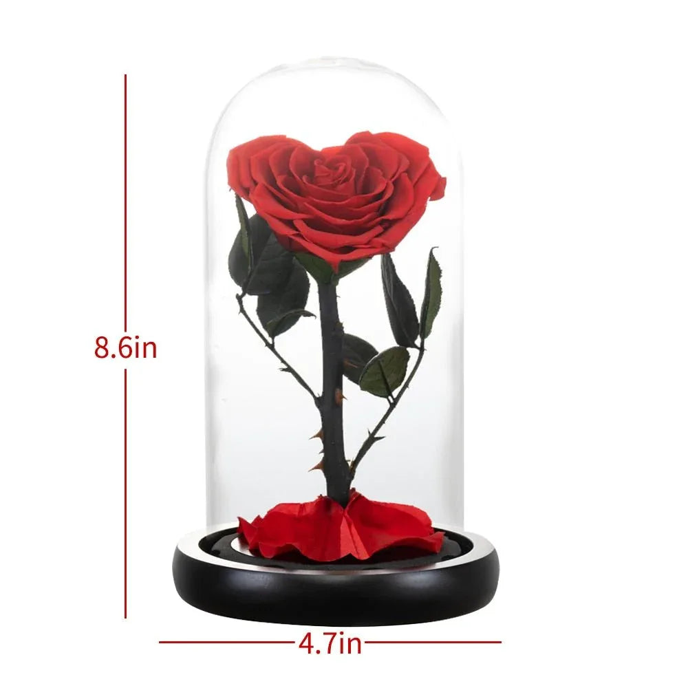 Rose Eternelle en Cœur Sous Cloche ( Choix de Couleur ) - Rose Eternelle La Boutique