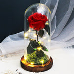 Rose Eternelle Premium (Style au Choix)