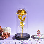 Rose Eternelle Lumineuse & Sous Cloche ( Choix de style  )