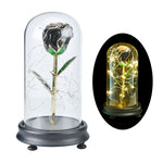 Eblouissante Rose Eternelle Doré  "Ainy Rose" avec Coffret