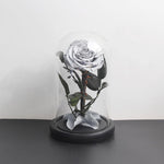 Véritable Rose Éternelle de Prestige ( choix de couleur )