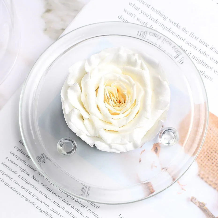 Rose Eternelle Sous Dôme Bleu - Rose Eternelle La Boutique