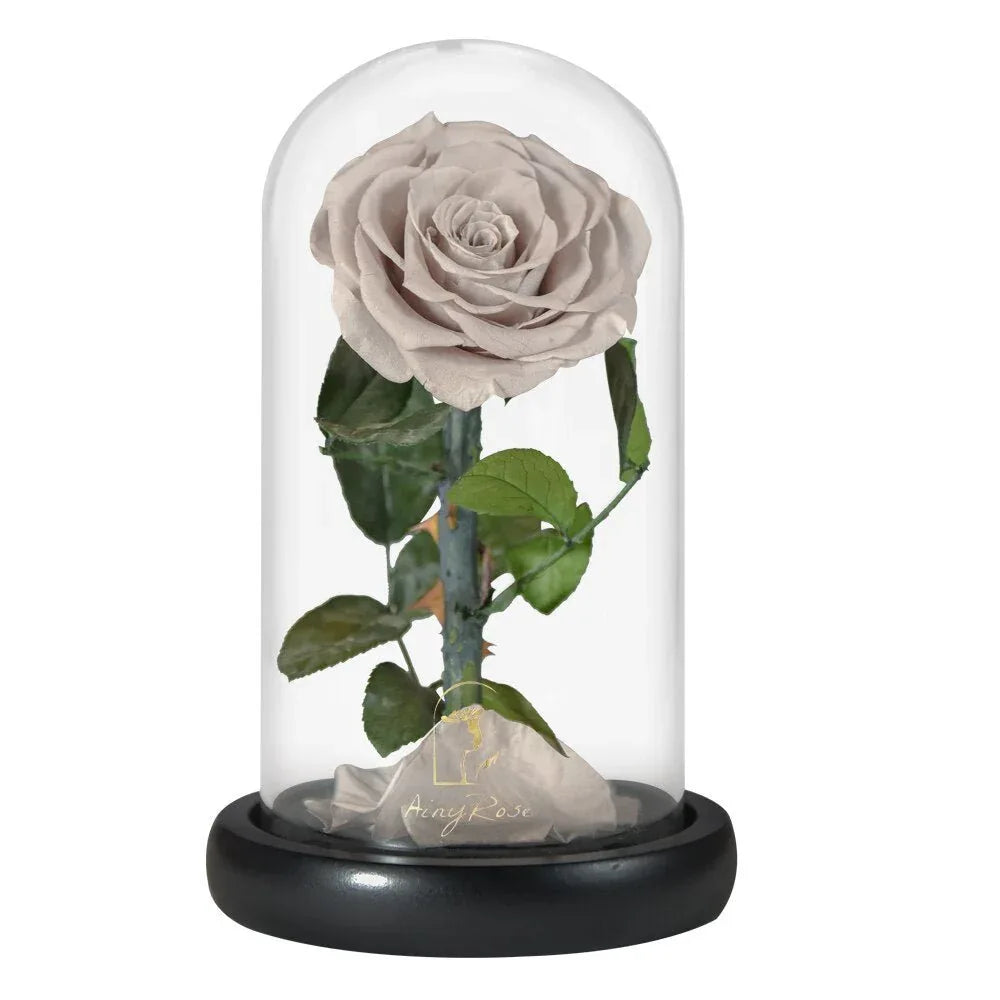 Rose Eternelle en Cœur Sous Cloche ( Choix de Couleur ) - Rose Eternelle La Boutique