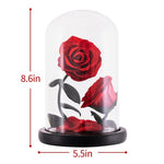 Prestigieux Duo de Rose Eternelle ( Choix de couleur )