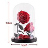 Prestigieux Duo de Rose Eternelle ( Choix de couleur )