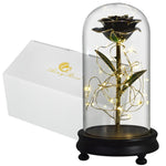 Eblouissante Rose Eternelle Doré  "Ainy Rose" avec Coffret