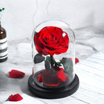Véritable Rose Éternelle de Prestige ( choix de couleur )