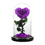 Rose Eternelle en Cœur Sous Cloche ( Choix de Couleur )
