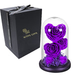 Rose Eternelle en Cœur Sous Cloche ( Choix de Couleur )