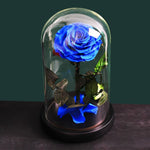 Rose Eternelle Premium (Style au Choix)