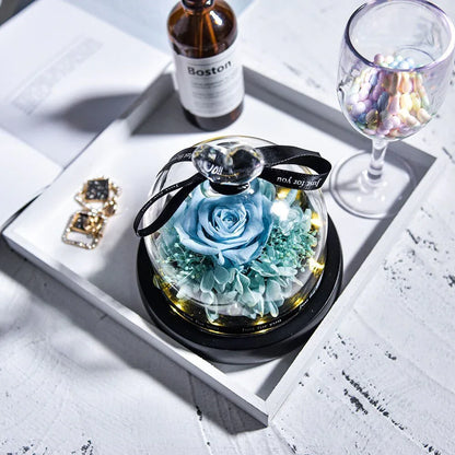 Rose Eternelle Suprême avec Cloche design ( Choix de couleur ) - Rose Eternelle La Boutique