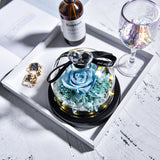 Rose Eternelle Suprême avec Cloche design ( Choix de couleur )