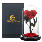 Rose Eternelle en Cœur Sous Cloche ( Choix de Couleur )