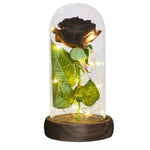 Rose Eternelle Lumineuse & Sous Cloche ( Choix de style  )