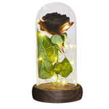 Rose Eternelle Lumineuse & Sous Cloche ( Choix de style  )