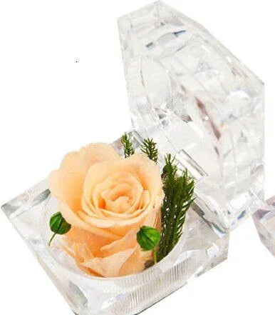 Rose Eternelle petite Boite en Verre ( choix couleur ) - Rose Eternelle La Boutique