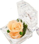Rose Eternelle petite Boite en Verre ( choix couleur )