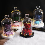 Rose Eternelle Ourson Sous Cloche & LED Bleu