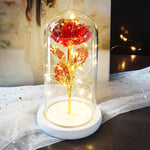 Rose Eternelle Crystal Sous Cloche (Choix de Couleurs)