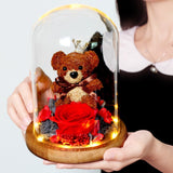 Rose Eternelle Ourson Sous Cloche (Choix de Couleurs)