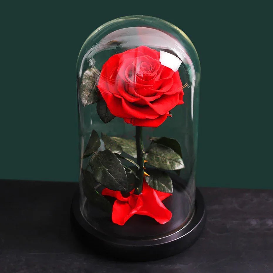 Rose Eternelle Premium (Style au Choix) - Rose Eternelle La Boutique