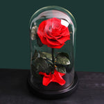 Rose Eternelle Premium (Style au Choix)