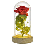 Rose Eternelle Lumineuse & Sous Cloche ( Choix de style  )