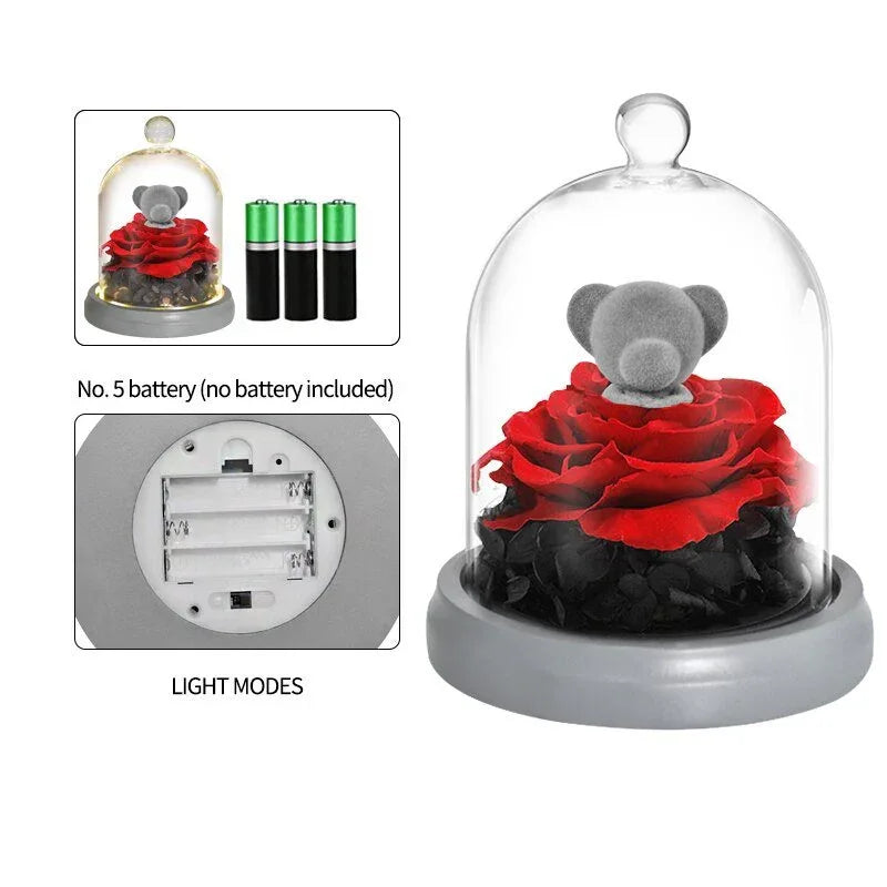 Ours et Lapin avec Rose rouge sous cloche - Rose Eternelle La Boutique