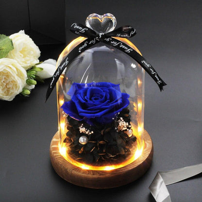 Beautiful Eternal Rose under glass dome glowing
