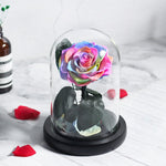 Véritable Rose Éternelle de Prestige ( choix de couleur )