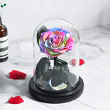 Véritable Rose Éternelle de Prestige ( choix de couleur )