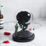 Véritable Rose Éternelle de Prestige ( choix de couleur )