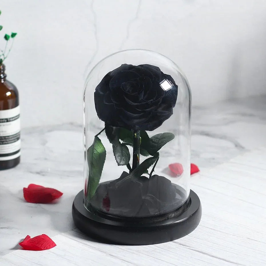 Prestigieuse Rose Noir avec Boite - Rose Eternelle La Boutique