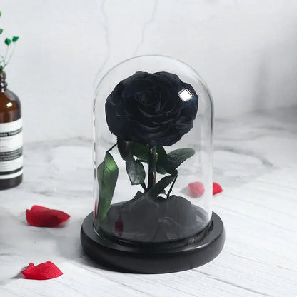 Prestigieuse Rose Noir avec Boite - Rose Eternelle La Boutique