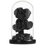 Rose Eternelle en Cœur Sous Cloche ( Choix de Couleur )