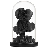 Rose Eternelle en Cœur Sous Cloche ( Choix de Couleur )