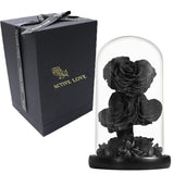 Rose Eternelle en Cœur Sous Cloche ( Choix de Couleur )