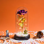 Rose Eternelle Lumineuse & Sous Cloche ( Choix de style  )