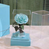 Rose éternelle Collection de Luxe ( Choix de Style )