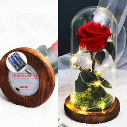 Rose Eternelle Sous Cloche Lumineuse (Choix de Couleur)
