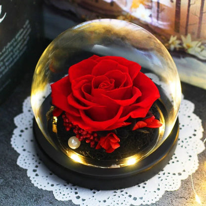 Eternal Rose Red sous Cloche Round