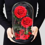Roses éternelles Sous Cloche (Prenium)