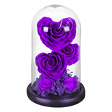 Rose Eternelle en Cœur Sous Cloche ( Choix de Couleur )